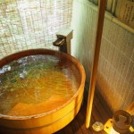 東京で消耗したので修善寺へ行ってきた-後編